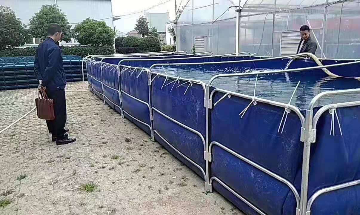 基地大棚水產養殖池